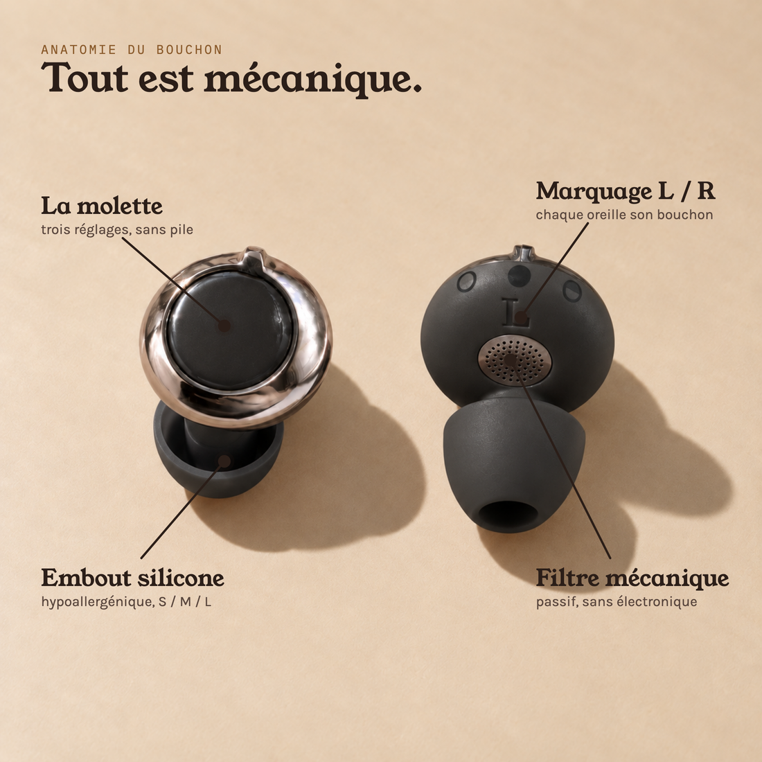 l’anatomie du bouchon